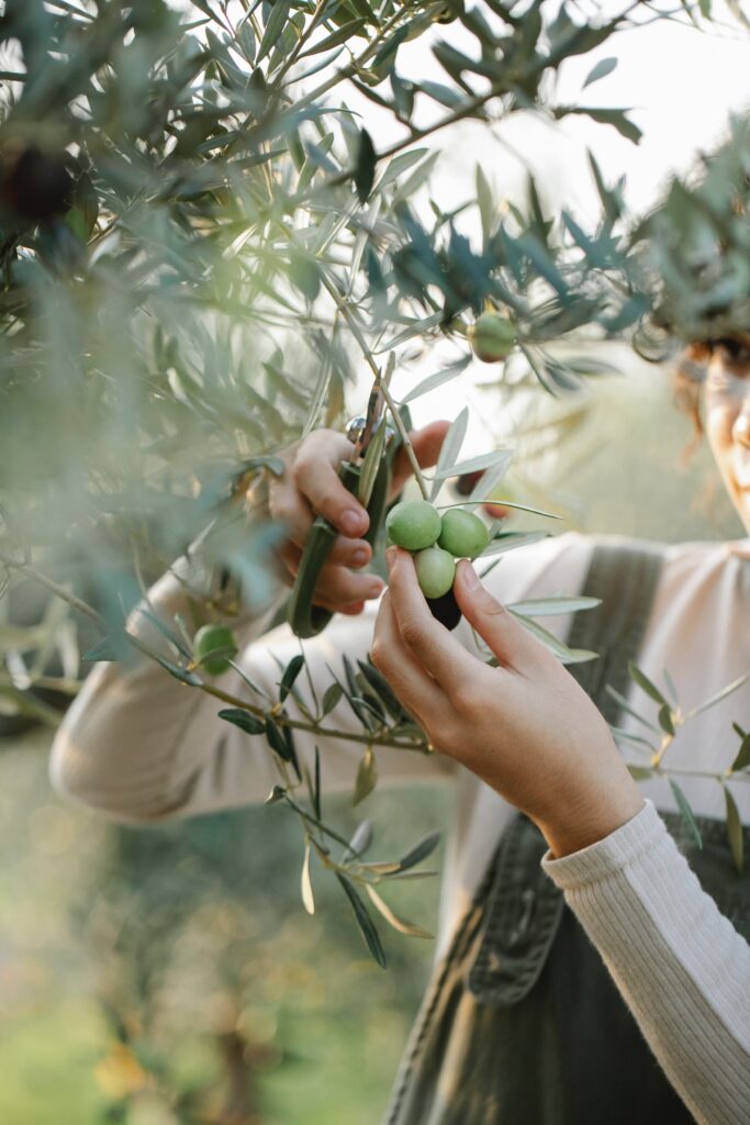 healthy gardening