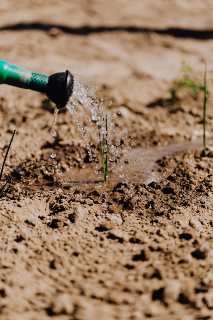 healthy gardening