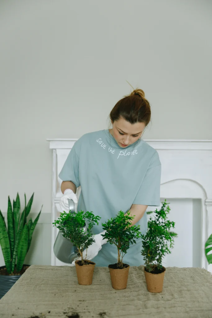 indoor gardening