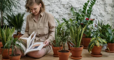 indoor gardening