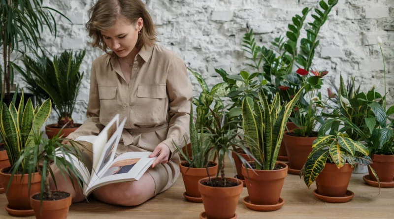 indoor gardening