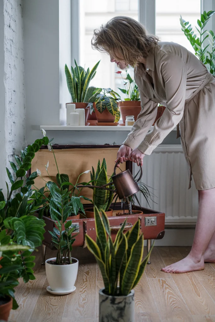 indoor gardening